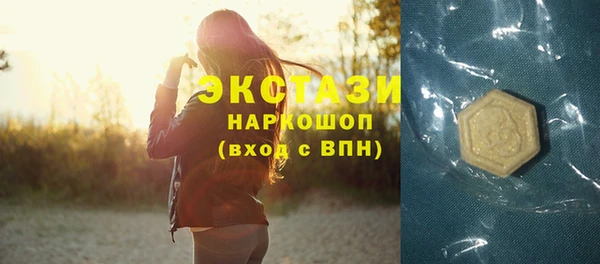индика Бронницы