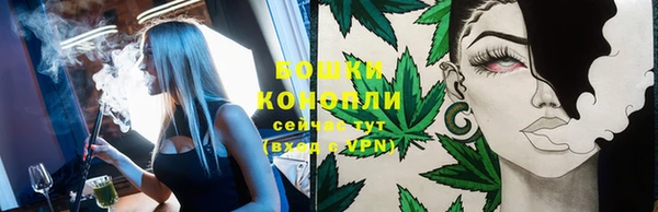 прущие грибы Бугульма