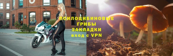 индика Бронницы