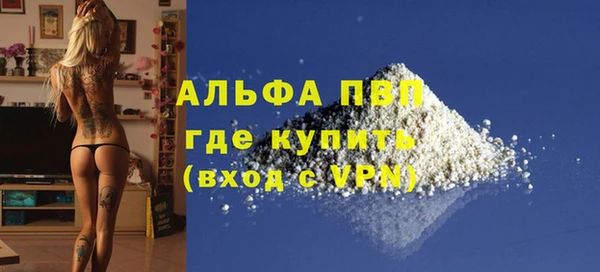 таблы Бородино
