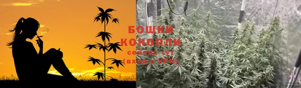 таблы Бородино