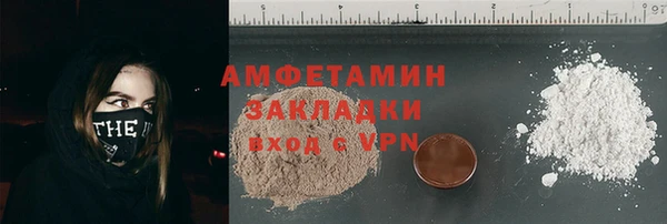 индика Бронницы