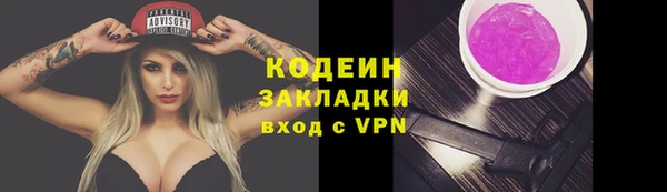 прущие грибы Бугульма