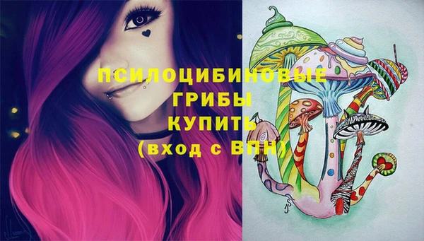 таблы Бородино