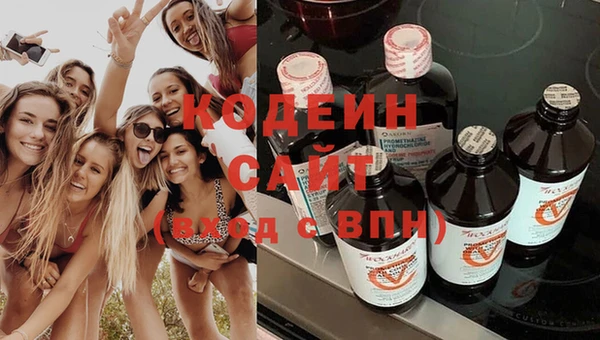 индика Бронницы