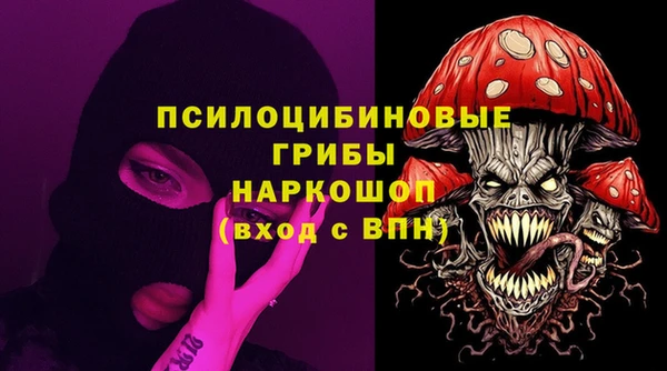 таблы Бородино