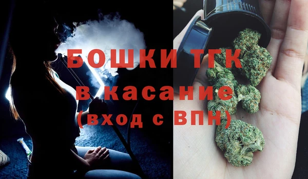 таблы Бородино