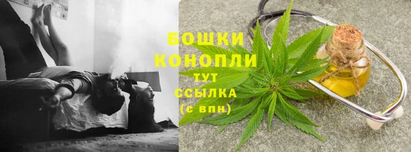 индика Бронницы