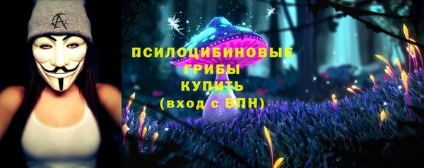 индика Бронницы