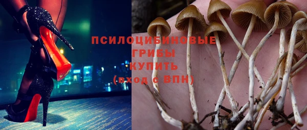 прущие грибы Бугульма