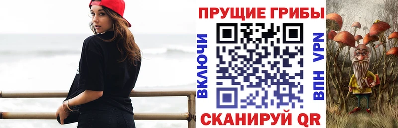 Псилоцибиновые грибы Psilocybe  Клинцы 